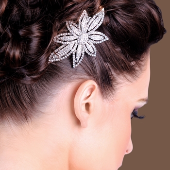 Hair Accessories - Clear (Silver Plated)