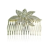 Larissa Hair Slide - Clear (Gold Plated)