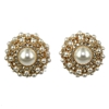 Perla Earrings - Clear (Gold Plated)